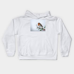 Winter Robin Kids Hoodie